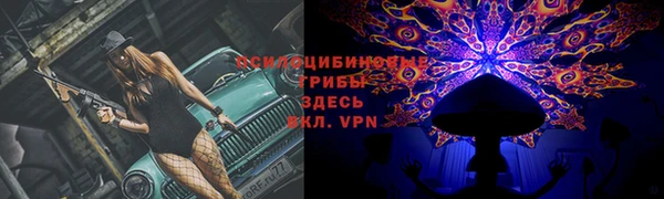 кокс Богородицк